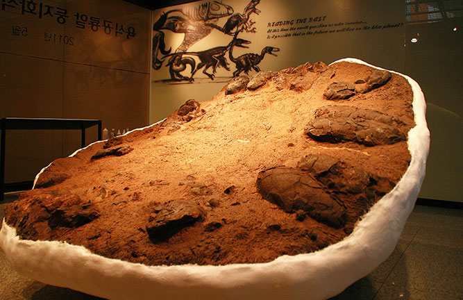 Mokpo Natural History Museum