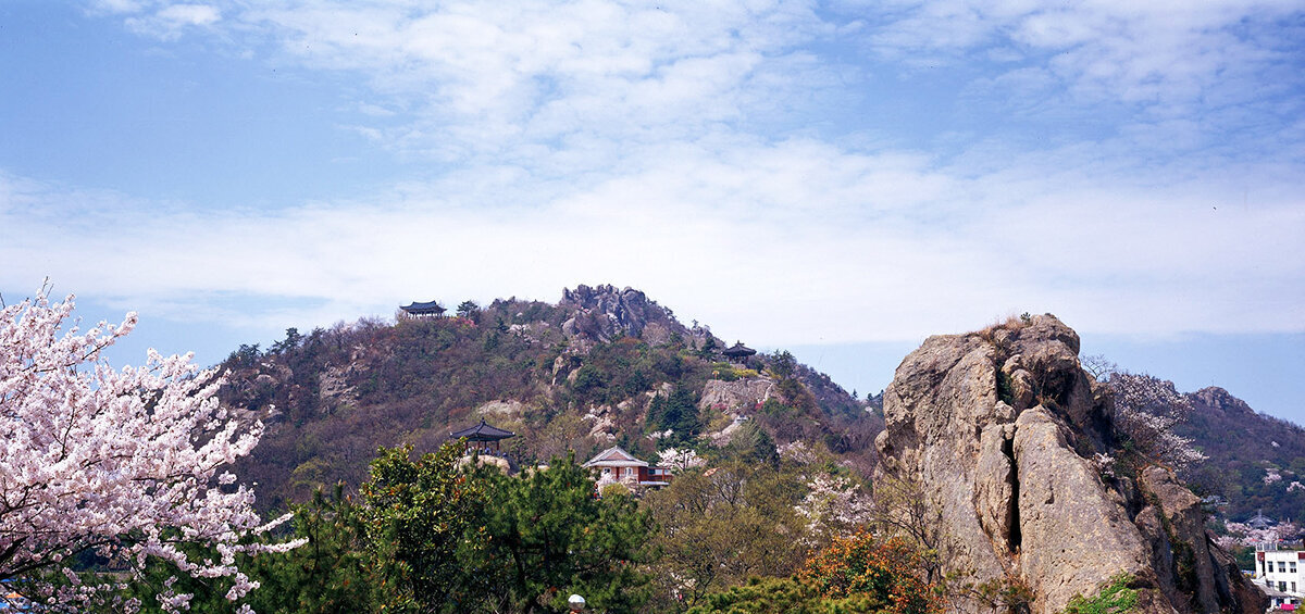 儒达山